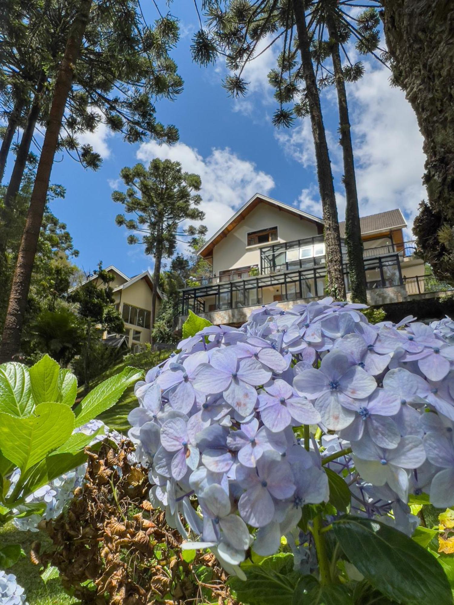 Araucaria Lodge Campos do Jordao Bagian luar foto
