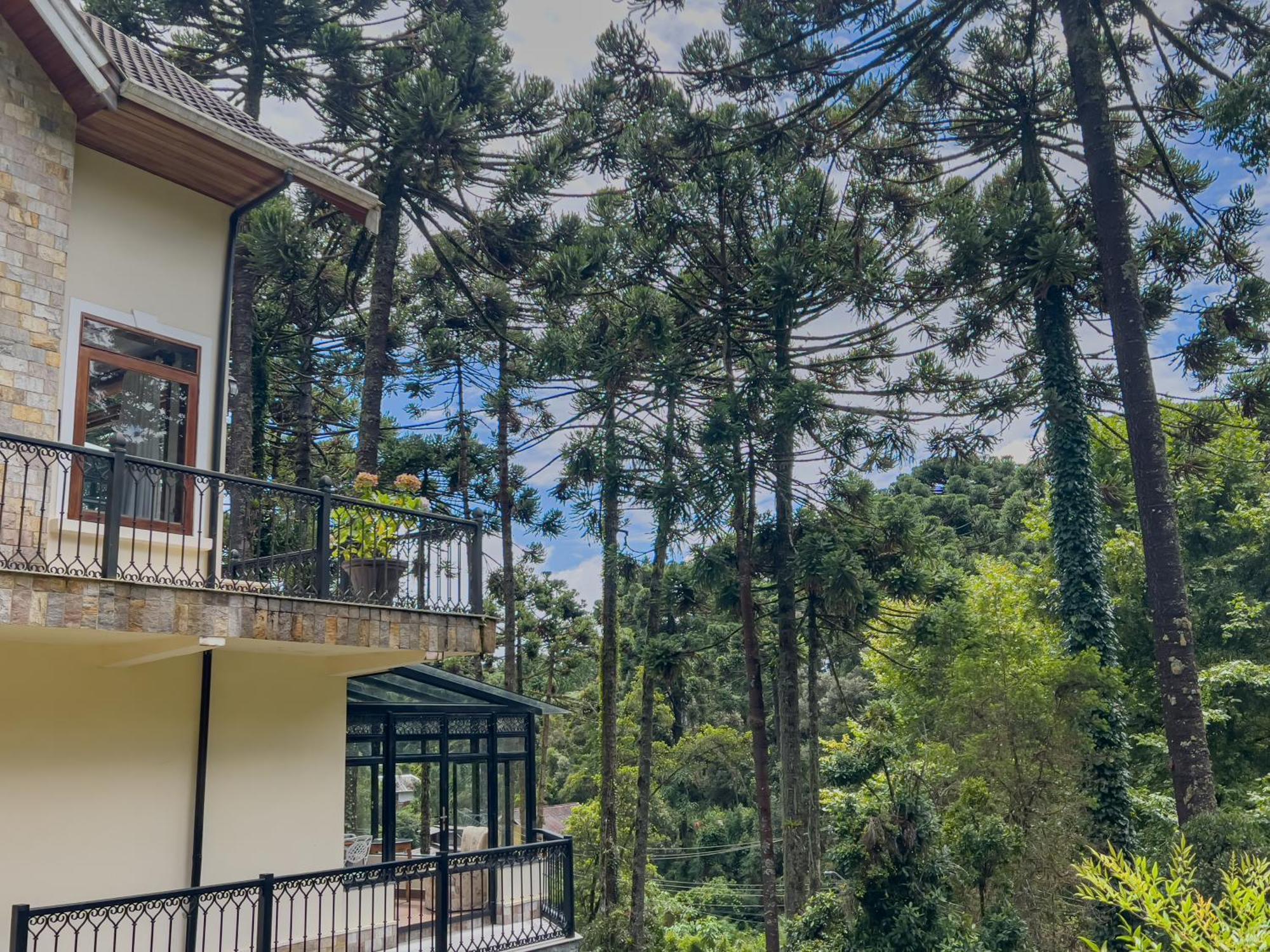 Araucaria Lodge Campos do Jordao Bagian luar foto