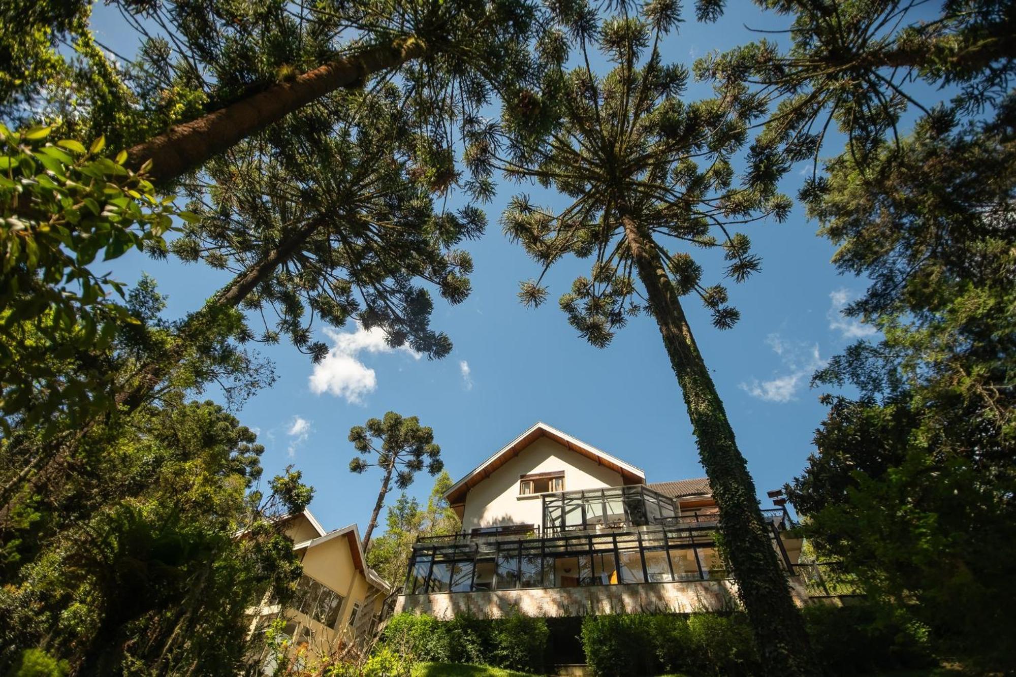 Araucaria Lodge Campos do Jordao Bagian luar foto