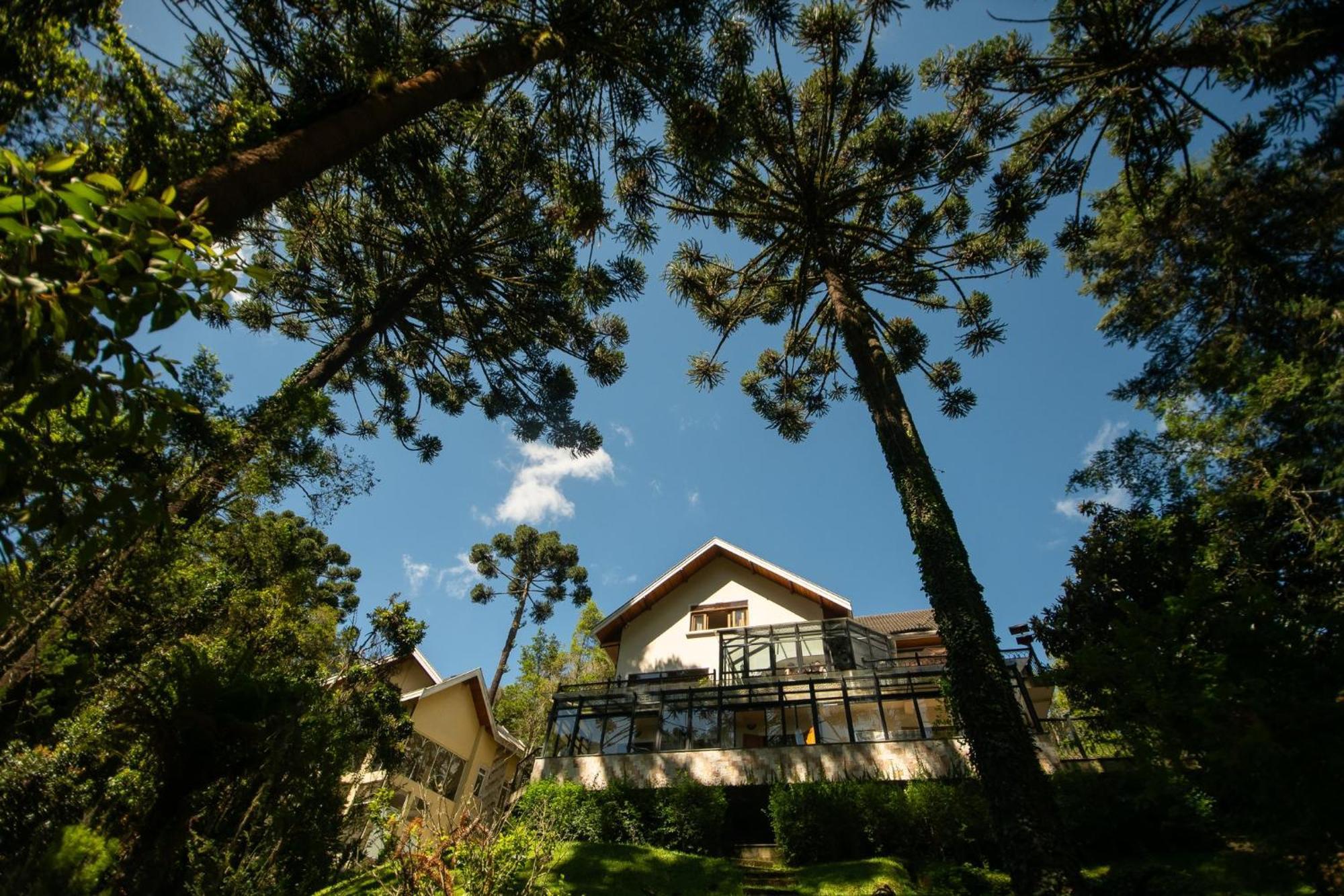 Araucaria Lodge Campos do Jordao Bagian luar foto